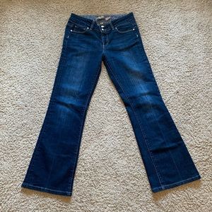 Paige premium denim blue jeans (size 29)